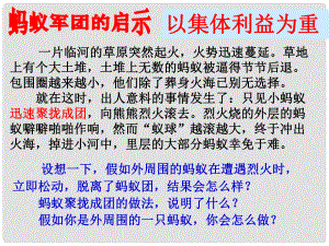 八年級政治下冊 第五單元 熱愛集體 融入社會 第10課 我與集體共發(fā)展（為了集體的發(fā)展）課件 魯人版六三制