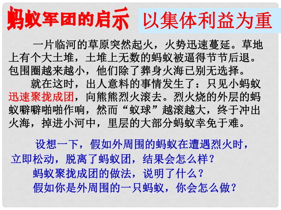 八年級政治下冊 第五單元 熱愛集體 融入社會 第10課 我與集體共發(fā)展（為了集體的發(fā)展）課件 魯人版六三制_第1頁