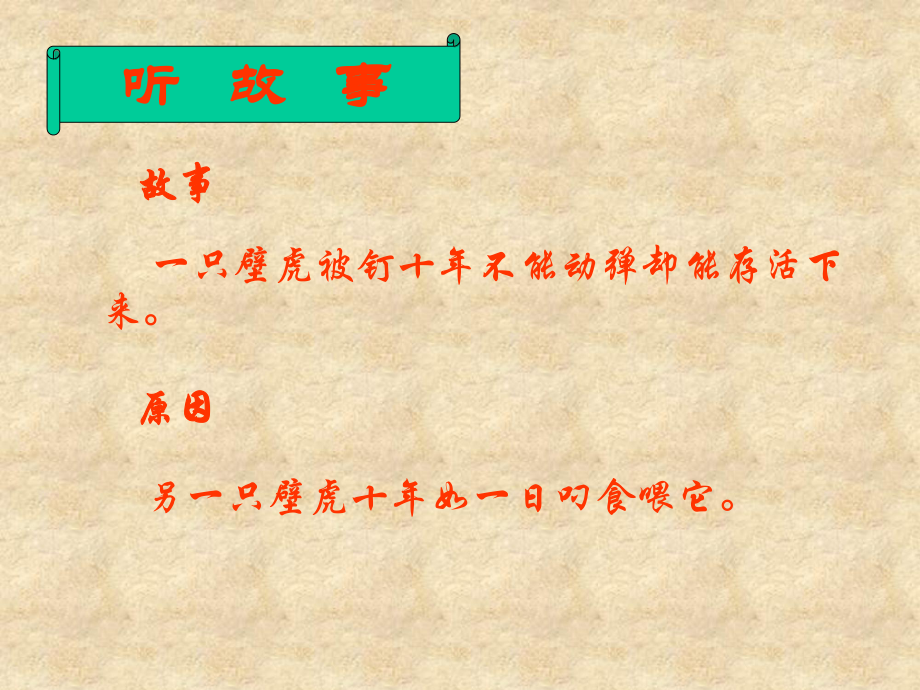 一只壁虎被钉十年不能动弹却能存活下来_第1页