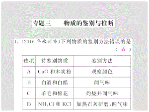 中考化學(xué)第二輪復(fù)習(xí) 專題訓(xùn)練 提升能力 專題三 物質(zhì)的鑒別與推斷練習(xí)課件 新人教版