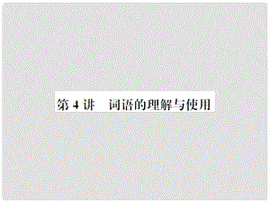 河北省中考語(yǔ)文總復(fù)習(xí) 第4講 詞語(yǔ)的理解與運(yùn)用課件