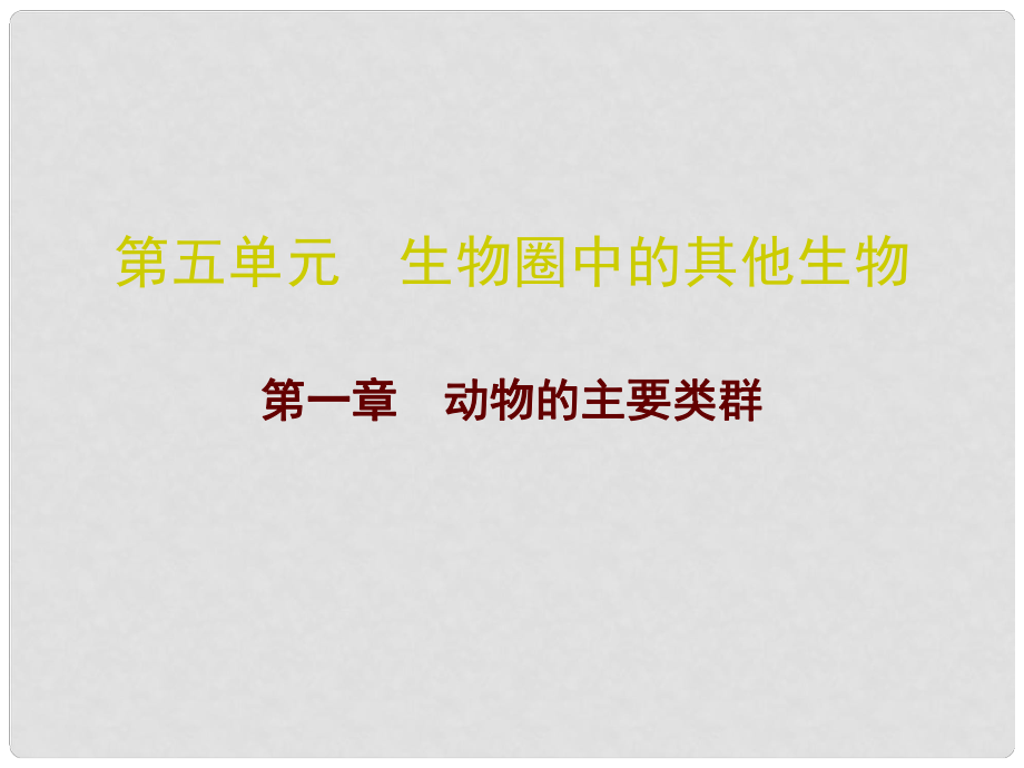 广东省中考生物 第五单元 第一章 动物的主要类群复习课件_第1页