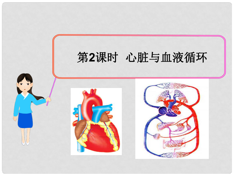 七年級(jí)生物下冊(cè) 第四單元 第9章 第2節(jié)（第2課時(shí) 心臟與血液循環(huán)）教學(xué)課件 （新版）北師大版_第1頁(yè)