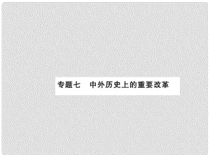 中考?xì)v史總復(fù)習(xí) 第二篇 專題突破七 中外歷史上的重要改革課件