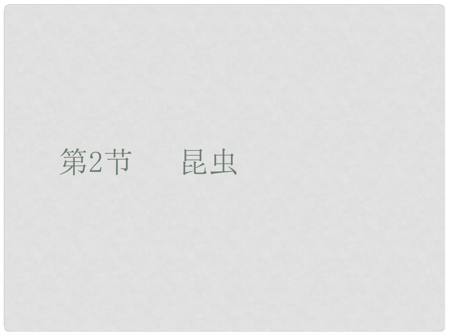 江蘇省淮安市盱眙縣七年級生物下冊 第五單元 第12章 空中的生物 第2節(jié) 昆蟲課件 （新版）蘇科版_第1頁