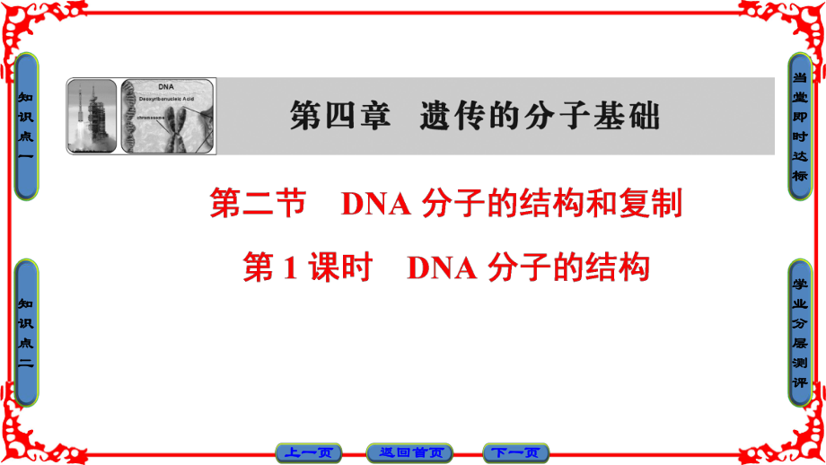 高中生物 第4章 遺傳的分子基礎(chǔ) 第2節(jié) DNA分子的結(jié)構(gòu)和復(fù)制（第1課時）DNA分子的結(jié)構(gòu)課件 蘇教版必修2_第1頁