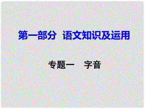 重慶市中考語(yǔ)文試題研究 第一部分 語(yǔ)文知識(shí)及運(yùn)用 專題一 字音課件