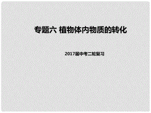 中考生物二輪復(fù)習(xí) 專題突破六 植物體內(nèi)物質(zhì)的轉(zhuǎn)化教學(xué)課件