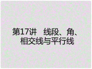 廣東省深圳市中考數(shù)學(xué)總復(fù)習(xí) 第四章 圖形的認(rèn)識(shí)與三角形 第17講 線段、角、相交線與平行線課件