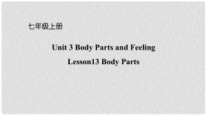 七年級英語上冊 Unit 3 Body Parts and Feeling Lesson 13 Body Parts課件 （新版）冀教版