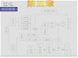 高考生物 生物的生殖和發(fā)育課件