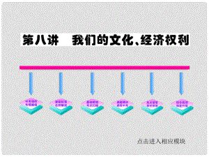 九年級(jí)政治 第8講 我們的文化 經(jīng)濟(jì)權(quán)利課件 人教新課標(biāo)版