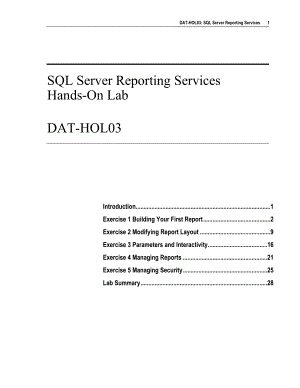 Sql Server Reporting Services
