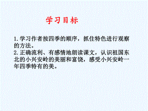 三年級(jí)下冊(cè)語(yǔ)文課件-第三單元 12《美麗的小興安嶺》 西師大版 (共23張PPT)