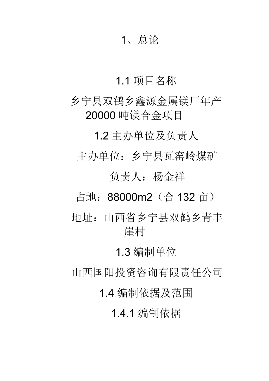 20000吨镁合金项目可研报告_第1页