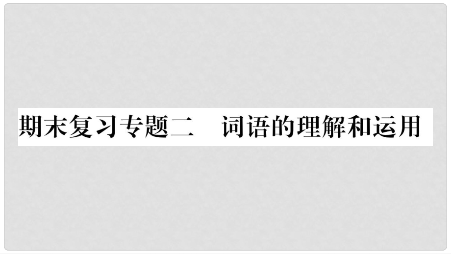 九年级语文上册 期末复习专题二 词语的理解和运用习题课件 新人教版_第1页