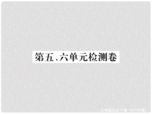 九年級(jí)歷史下冊(cè) 第五、六單元 檢測(cè)卷課件 新人教版