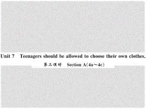 九年級(jí)英語全冊 Unit 7 Teenagers should be allowed to choose their own clothes（第3課時(shí)）習(xí)題課件 （新版）人教新目標(biāo)版3