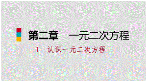 九年級(jí)數(shù)學(xué)上冊(cè) 第二章 一元二次方程 1 認(rèn)識(shí)一元二次方程 第1課時(shí) 認(rèn)識(shí)一元二次方程習(xí)題課件 （新版）北師大版