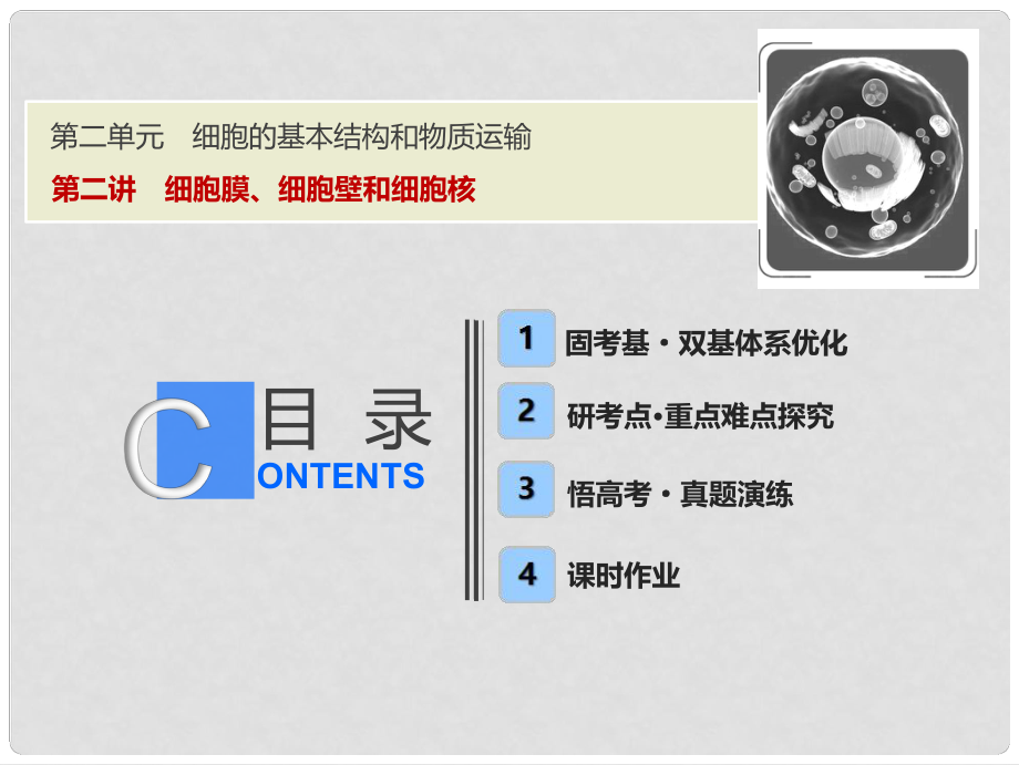 高考生物一輪復(fù)習(xí) 第二單元 細(xì)胞的基本結(jié)構(gòu)和物質(zhì)運(yùn)輸 第二講 細(xì)胞膜、細(xì)胞壁和細(xì)胞核課件 蘇教版_第1頁