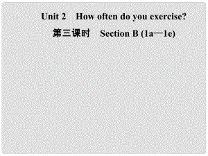 八年級(jí)英語(yǔ)上冊(cè) Unit 2 How often do you exercise（第3課時(shí)）Section B（1a1e）導(dǎo)學(xué)課件 （新版）人教新目標(biāo)版