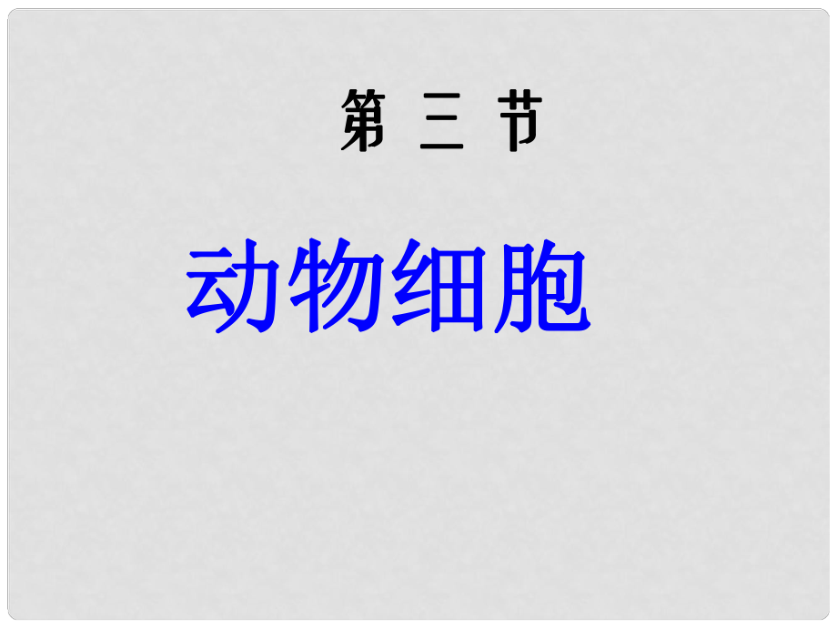 湖南省桑植縣七年級生物上冊 第二單元 第一章 第三節(jié) 動物細(xì)胞課件 （新版）新人教版_第1頁