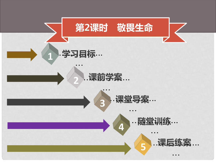 七年級(jí)道德與法治上冊(cè) 第四單元 生命的思考 第8課 探問(wèn)生命 第2框 敬畏生命習(xí)題課件 新人教版_第1頁(yè)