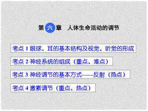 中考生物 第四單元 第六章 人體生命活動的調(diào)節(jié)復(fù)習(xí)課件