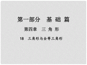 中考數(shù)學總復習 第一部分 基礎篇 第四章 三角形 考點18 三角形與全等三角形課件