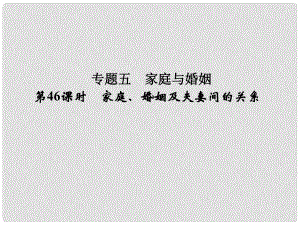 高考政治大一輪復(fù)習(xí) 專題五 家庭與婚姻 第46課時 家庭、婚姻及夫妻間的關(guān)系課件 新人教版選修5