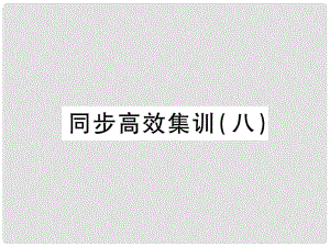 中考地理 同步高效集訓(xùn)（八）課件