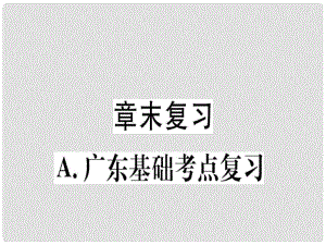 八年級數(shù)學(xué)上冊 第十二章《全等三角形》章末復(fù)習(xí)課件 （新版）新人教版