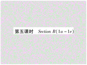 九年級英語全冊 Unit 5 What are the shirts made of（第5課時）Section B（1a1e）習(xí)題課件 （新版）人教新目標(biāo)版