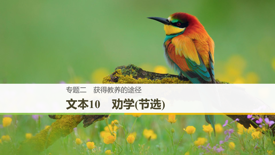 高中語文 專題二 獲得教養(yǎng)的途徑 文本10 勸學(xué)(節(jié)選)課件 蘇教版必修1_第1頁