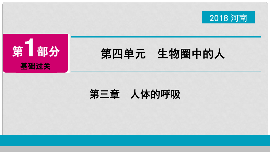 河南省中考生物总复习 第1部分 第4单元 第3章 人体的呼吸课件_第1页