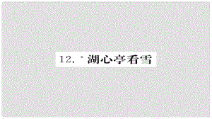 九年級(jí)語(yǔ)文上冊(cè) 第三單元 12湖心亭看雪習(xí)題課件 新人教版