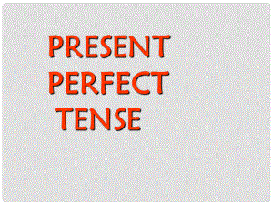 云南省麗江市永勝縣永北鎮(zhèn)中學(xué)中考英語復(fù)習(xí) Present perfect tense 現(xiàn)在完成時課件 人教新目標(biāo)版