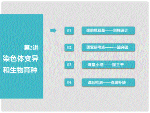 高考生物一輪復(fù)習(xí) 第2部分 遺傳與進(jìn)化 第三單元 生物的變異、育種與進(jìn)化 第2講 染色體變異和生物育種課件