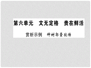 高中語文 第六單元 文無定格 貴在鮮活 賞析示例 種樹郭橐駝傳課件 新人教版選修《選修中國古代詩歌散文欣賞》