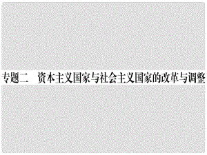 九年級歷史下冊 期末專題復習 專題二 資本主義國家與社會主義國家的改革與調整習題課件 新人教版