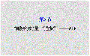 高中生物 第五章 細(xì)胞的能量供應(yīng)和利用 第二節(jié) 細(xì)胞的能量“通貨”—ATP 5.2課件 新人教版必修1