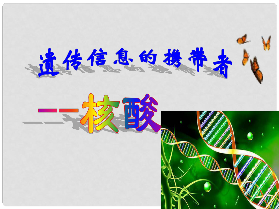 高中生物 第二章 組成細胞的分子 第3節(jié) 遺傳信息的攜帶者──核酸課件 新人教版必修1_第1頁