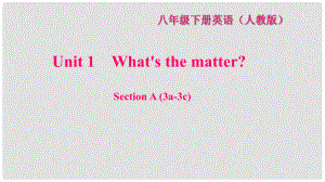 八年級英語下冊 Unit 1 What's the matter Section A(3a3c)習(xí)題課件 （新版）人教新目標版