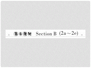 八年級英語上冊 Unit 9 Can you come to my party（第4課時）Section B（2a2e）習(xí)題課件 （新版）人教新目標(biāo)版