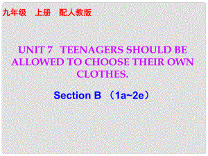 九年級英語全冊 10分鐘課堂 Unit 7 Teenagers should be allowed to choose their own clothes Section B（1a2e）課件 （新版）人教新目標版