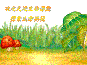 云南省弥勒县庆来中学高中生物 第六章 人口增长对生态环境的影响课件 新人教版必修3