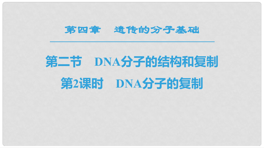 高中生物 第4章 遺傳的分子基礎(chǔ) 第2節(jié) DNA的結(jié)構(gòu)和DNA的復制 第2課時 DNA分子的復制課件 蘇教版必修2_第1頁