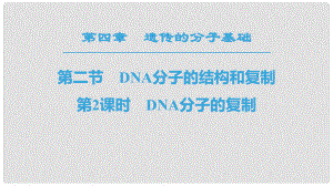 高中生物 第4章 遺傳的分子基礎 第2節(jié) DNA的結構和DNA的復制 第2課時 DNA分子的復制課件 蘇教版必修2