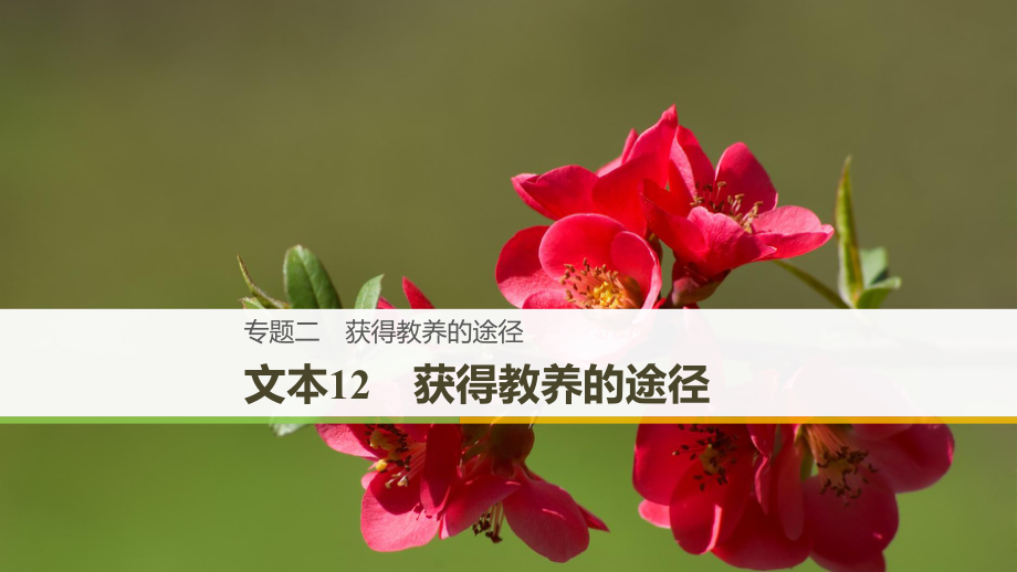 高中語(yǔ)文 專題二 獲得教養(yǎng)的途徑 文本12 獲得教養(yǎng)的途徑課件 蘇教版必修1_第1頁(yè)