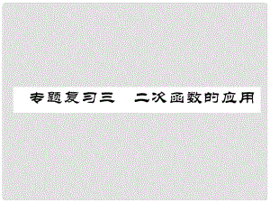 九年級數(shù)學(xué)下冊 期末專題復(fù)習(xí) 專題復(fù)習(xí)3 二次函數(shù)的應(yīng)用作業(yè)課件 （新版）北師大版